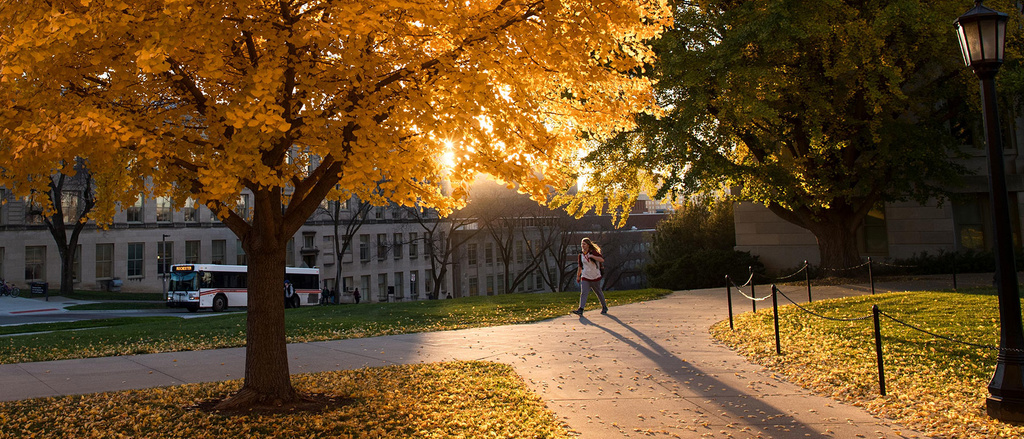 A student walking on the Pentacrest at sunset