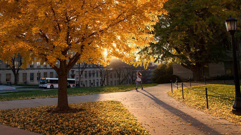A student walking on the Pentacrest at sunset
