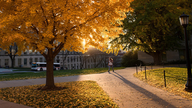 A student walking on the Pentacrest at sunset